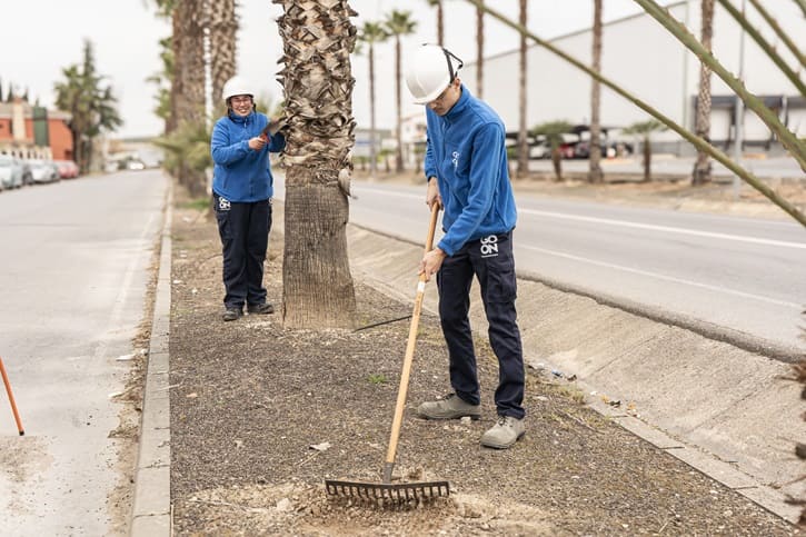 trabajos de jardineria